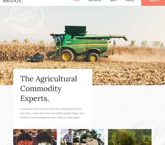 Web Design Service for Agriculture