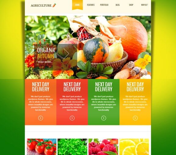 Web Design Service for Agriculture